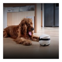 Buy ENABOT EBO Air 2 Plus 3K Kamera Nachtsicht WLAN App Tierroboter Wei in Cyprus, Nicosia, Limassol, Larnaka, Pafos