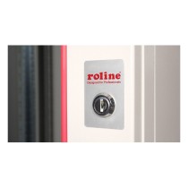 Buy ROLINE 19-Zoll Wandgehuse Pro 12 HE, 600x450 BxT grau in Cyprus, Nicosia, Limassol, Larnaka, Pafos