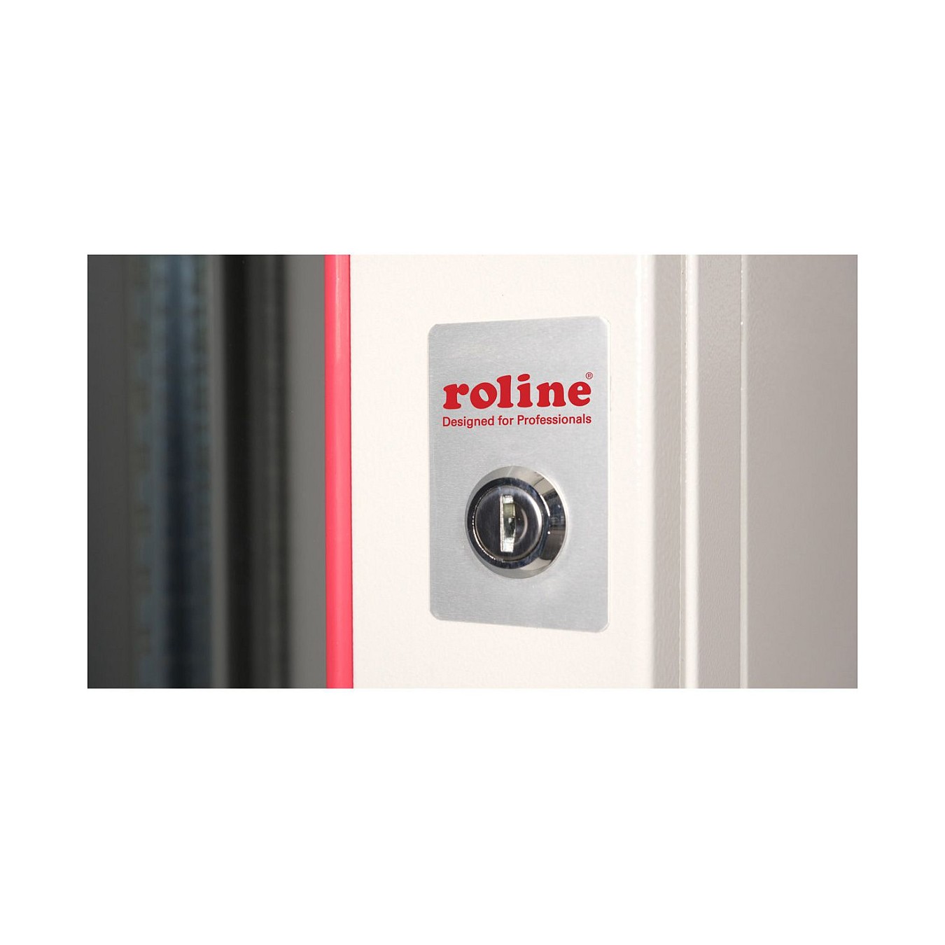 Buy ROLINE 19-Zoll Wandgehuse Pro 12 HE, 600x450 BxT grau in Cyprus, Nicosia, Limassol, Larnaka, Pafos