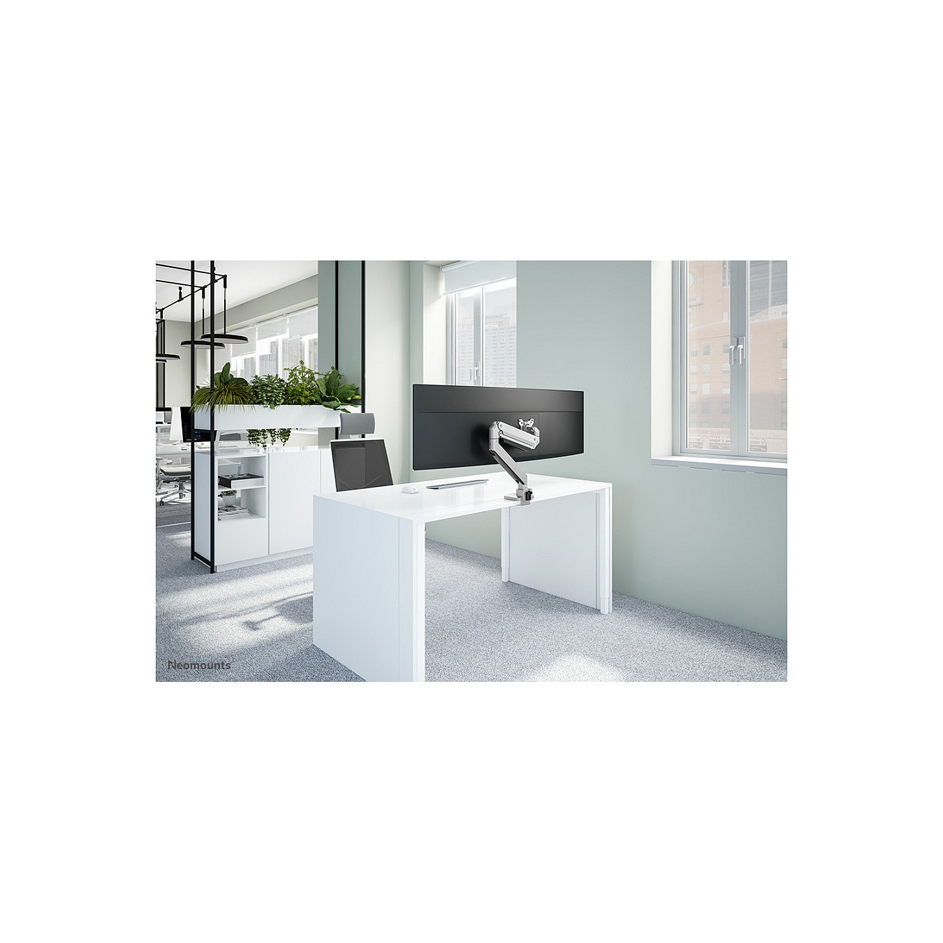 Buy NewStar PLUS desk mount for curved flat monitors up to 49 , silver in Cyprus, Nicosia, Limassol, Larnaka, Pafos
