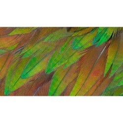 Buy Philips 27B1U3900 - 27-inch 4K UHD IPS Monitor, USB-C 90W PD, 2xHDMI + DP1.4... in Cyprus, Nicosia, Limassol, Larnaka, Pafos