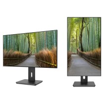 Buy JapanNext WQHD Monitor 68,6cm (27') in Cyprus, Nicosia, Limassol, Larnaka, Pafos