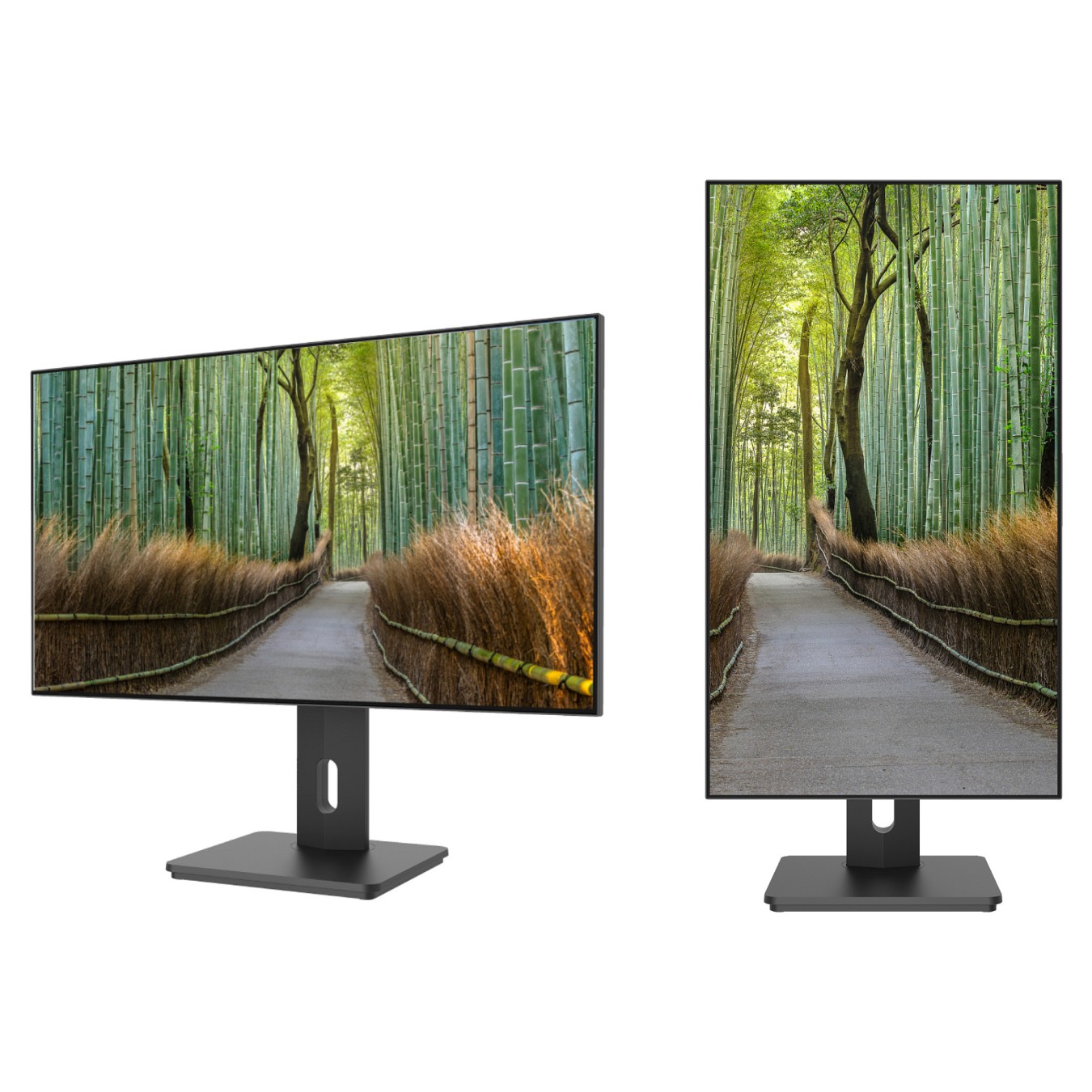 Buy JapanNext WQHD Monitor 68,6cm (27') in Cyprus, Nicosia, Limassol, Larnaka, Pafos