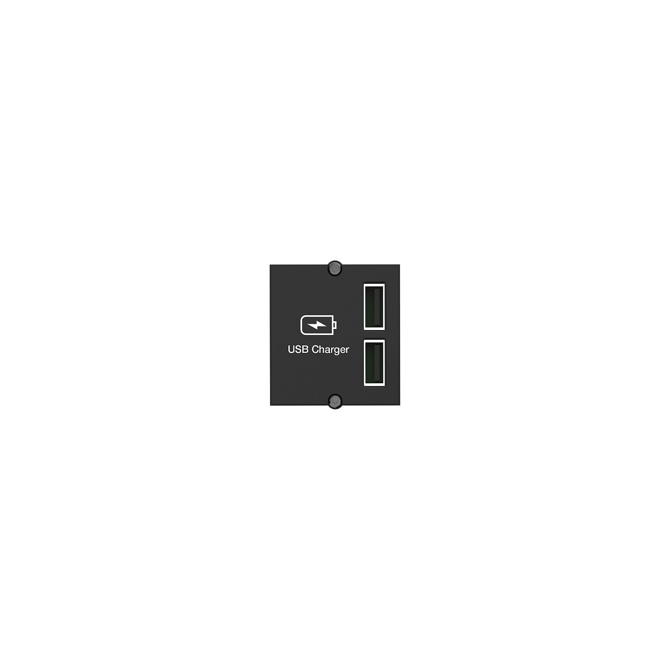 Buy BACHMANN USB A A 15W Doppelcharger , 2x Typ A 5V 2,4A GST18, schwarz, 0,2 m in Cyprus, Nicosia, Limassol, Larnaka, Pafos
