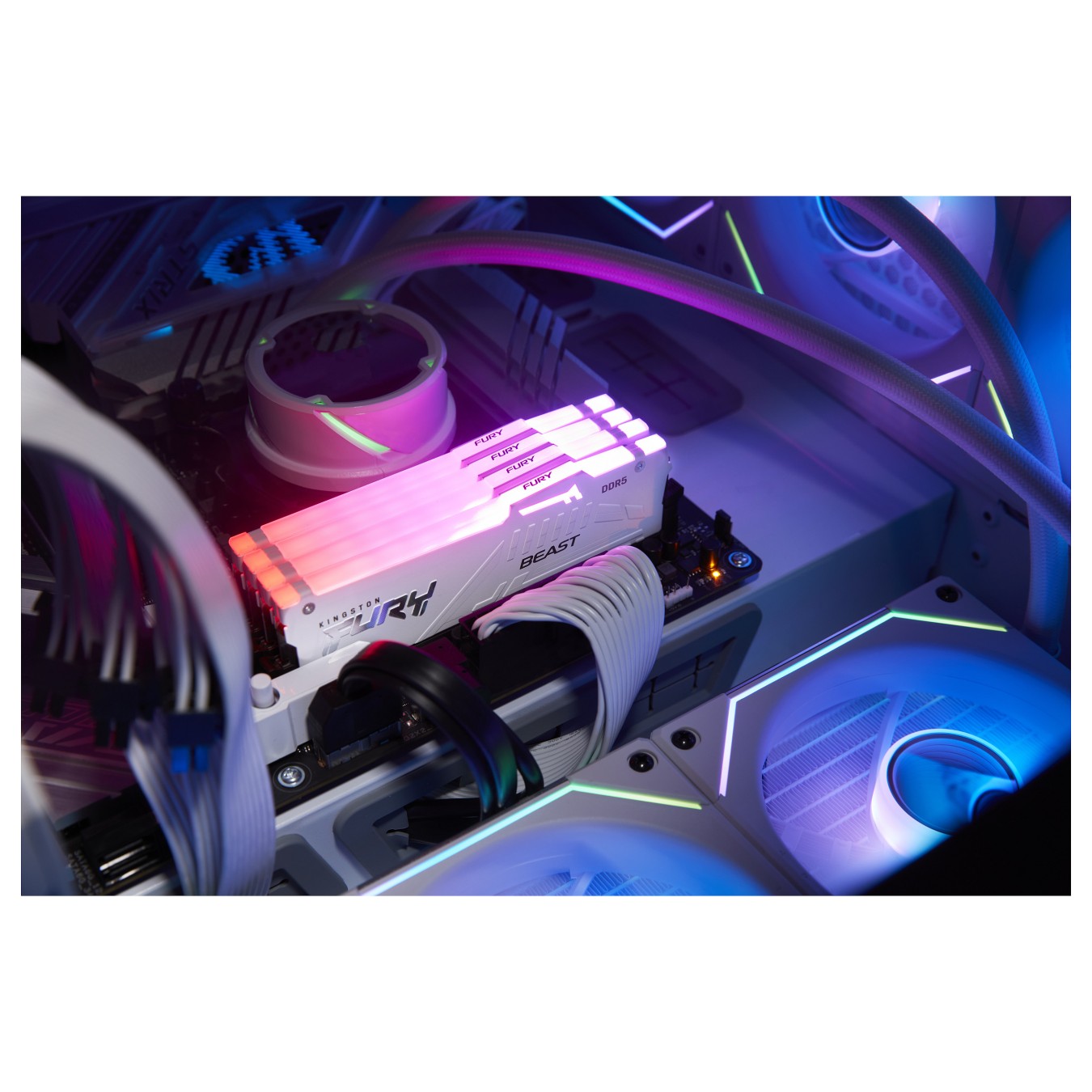 Buy KINGSTON FURY Beast 64GB DIMM 5600MT s DDR5 CL40 Kit of 2 White RGB XMP in Cyprus, Nicosia, Limassol, Larnaka, Pafos