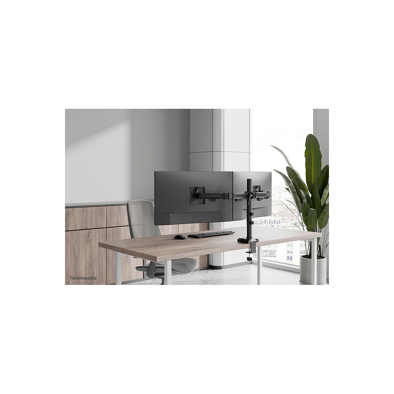 Buy Neomounts NERO DS60-600BL2 Monitorarm - schwarz in Cyprus, Nicosia, Limassol, Larnaka, Pafos