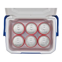 Buy COLEMAN 5 QT Performance Kühlbox 4,7L in Cyprus, Nicosia, Limassol, Larnaka, Pafos