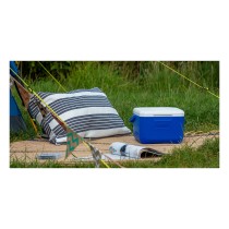 Buy COLEMAN 5 QT Performance Kühlbox 4,7L in Cyprus, Nicosia, Limassol, Larnaka, Pafos