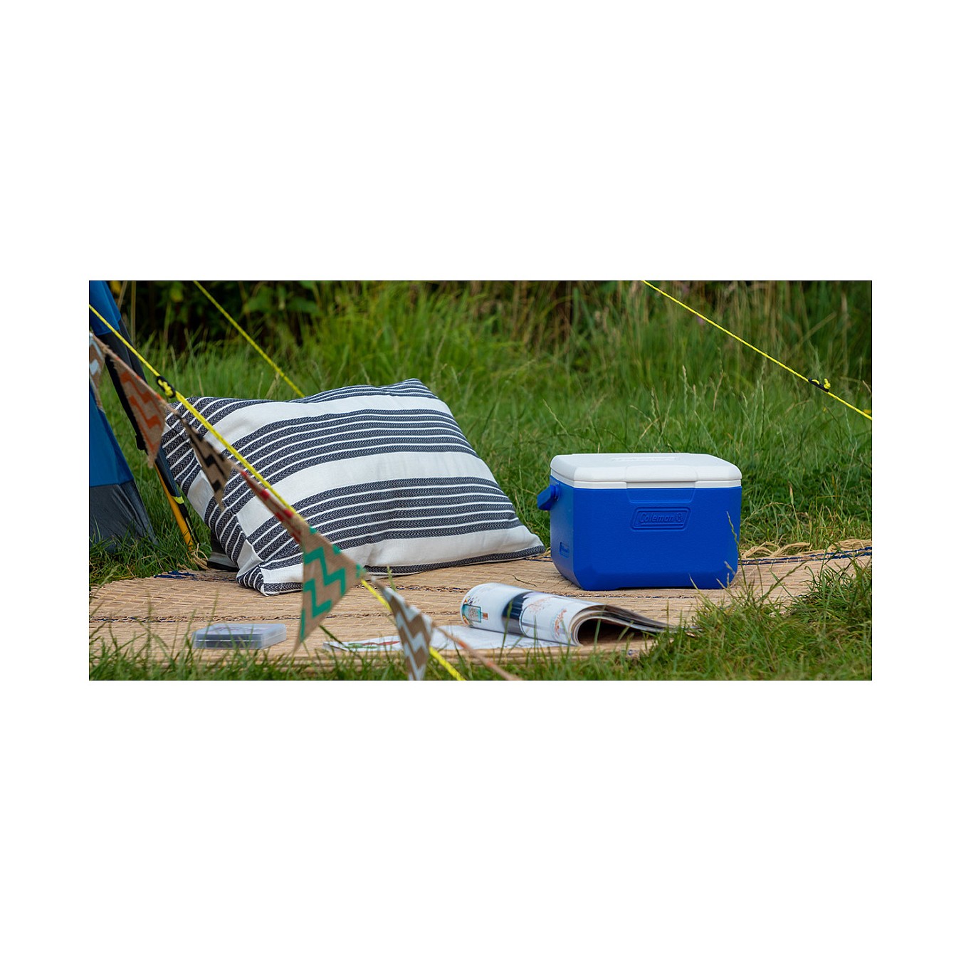 Buy COLEMAN 5 QT Performance Kühlbox 4,7L in Cyprus, Nicosia, Limassol, Larnaka, Pafos