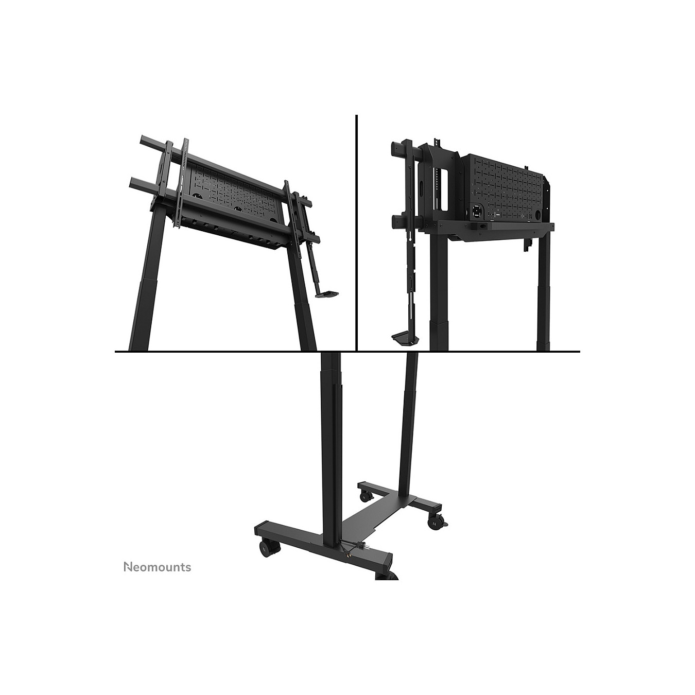 Buy Neomounts FL55-975BL1 MOVE Lift XL motorisierter Rollwagen in Cyprus, Nicosia, Limassol, Larnaka, Pafos
