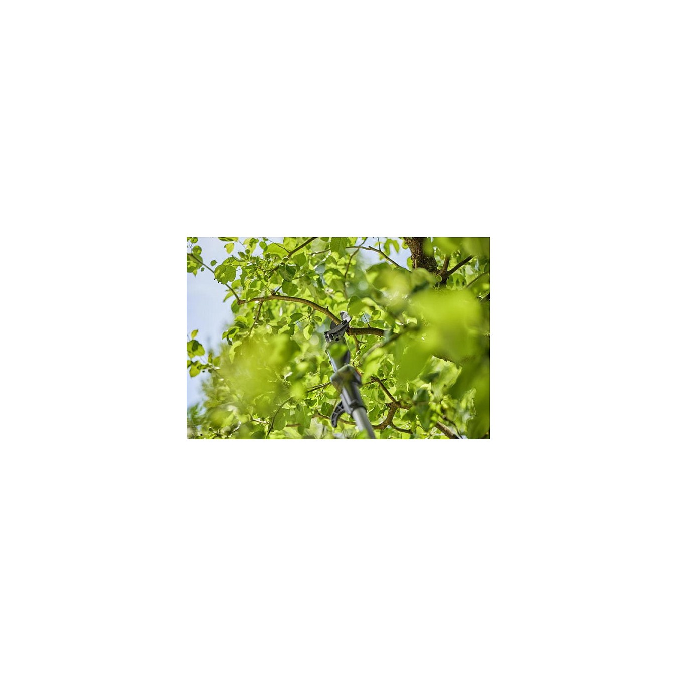 Buy Gardena Akku-Teleskop-Baumschere HighCut 250 18V P4A solo in Cyprus, Nicosia, Limassol, Larnaka, Pafos