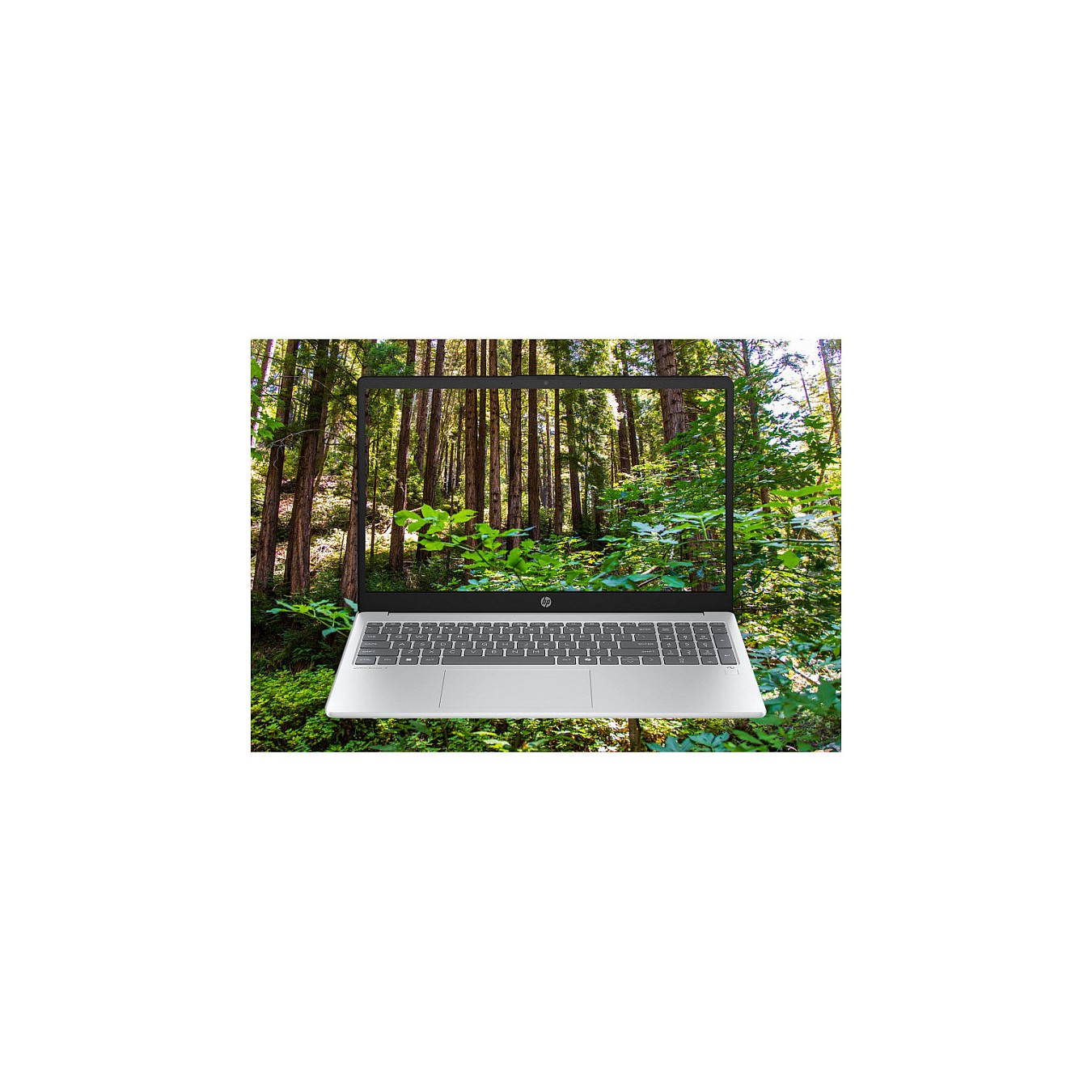 Buy HP OmniBook 3 15-fn0652ng RYZ AI 5 16GB 512SSD W11 Home in Cyprus, Nicosia, Limassol, Larnaka, Pafos