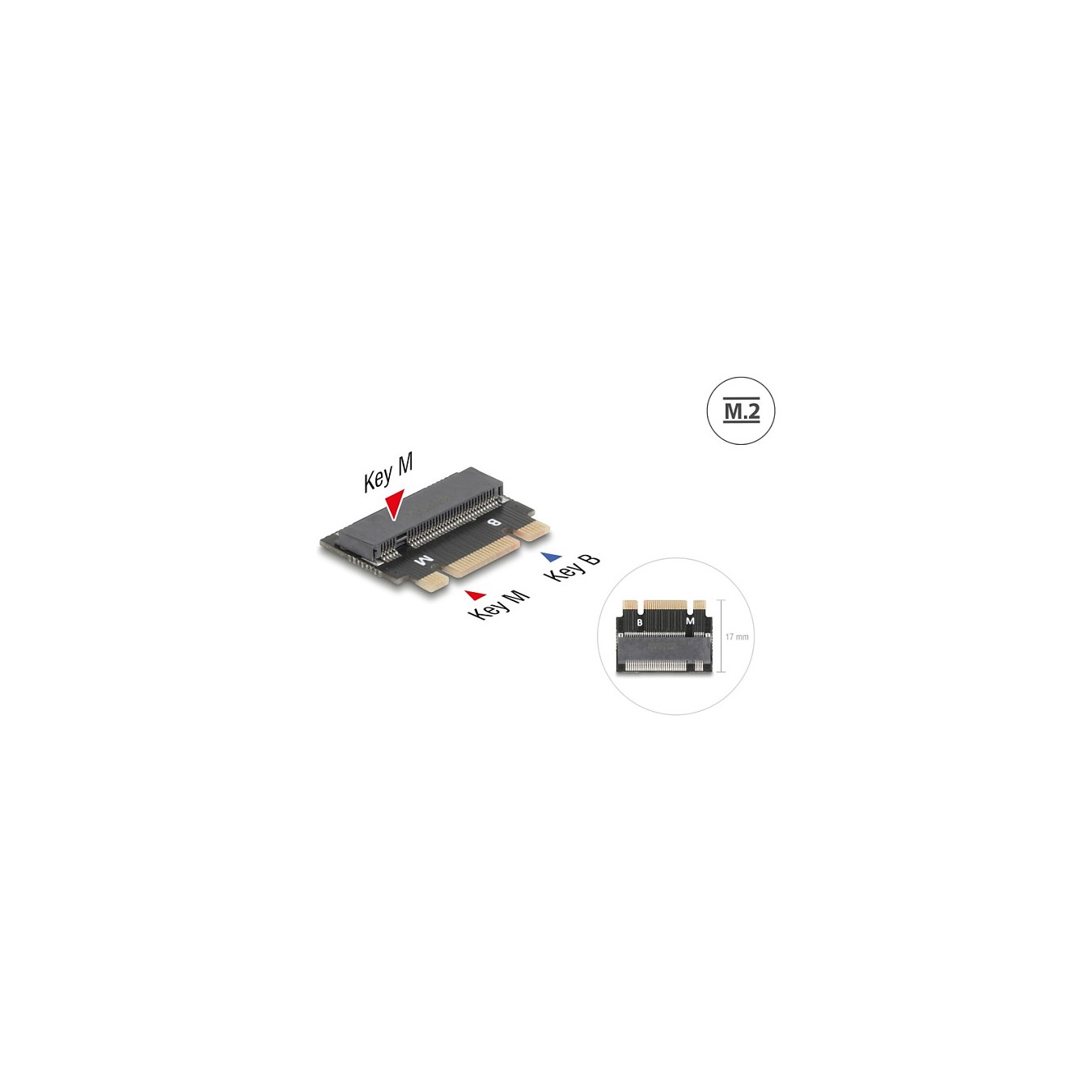 Buy Delock Adapter M.2 Key B+M Stecker zu M.2 Key M Slot - Verlängerung in Cyprus, Nicosia, Limassol, Larnaka, Pafos