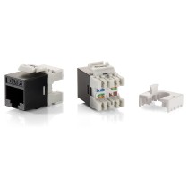 Buy Keystone Jack ungeschirmt Cat6 LSA schlank 8Stk sw Polybeutel in Cyprus, Nicosia, Limassol, Larnaka, Pafos