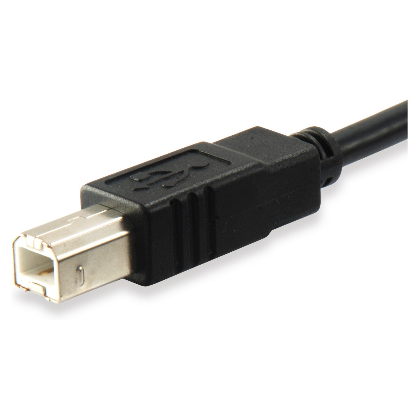 Buy Equip USB Kabel 2.0 C-B St St 1.00m schwarz Polybeutel in Cyprus, Nicosia, Limassol, Larnaka, Pafos