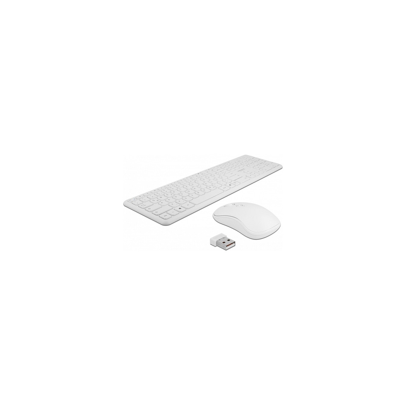 Buy Delock USB Tastatur und Maus Set 2,4 GHz kabellos weiß in Cyprus, Nicosia, Limassol, Larnaka, Pafos