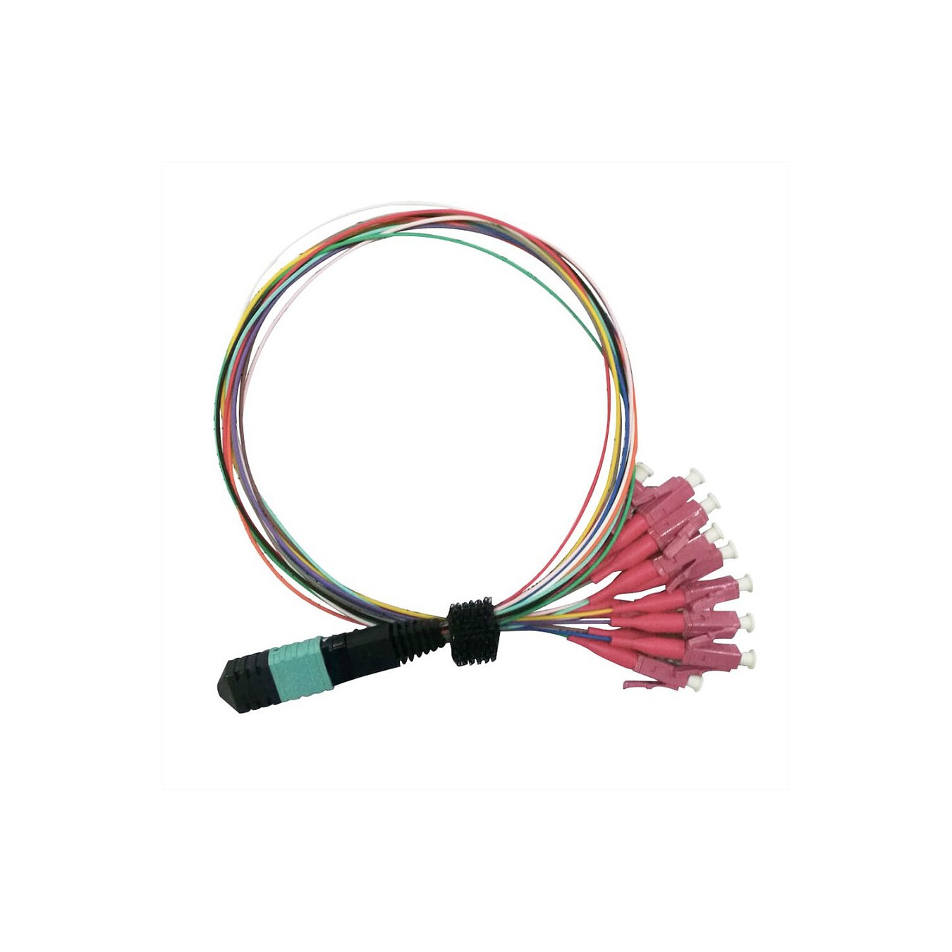 Buy VALUE MPO-Fanout-Kabel 50 125m OM4. MPO 12x LC. violett. 2 m in Cyprus, Nicosia, Limassol, Larnaka, Pafos