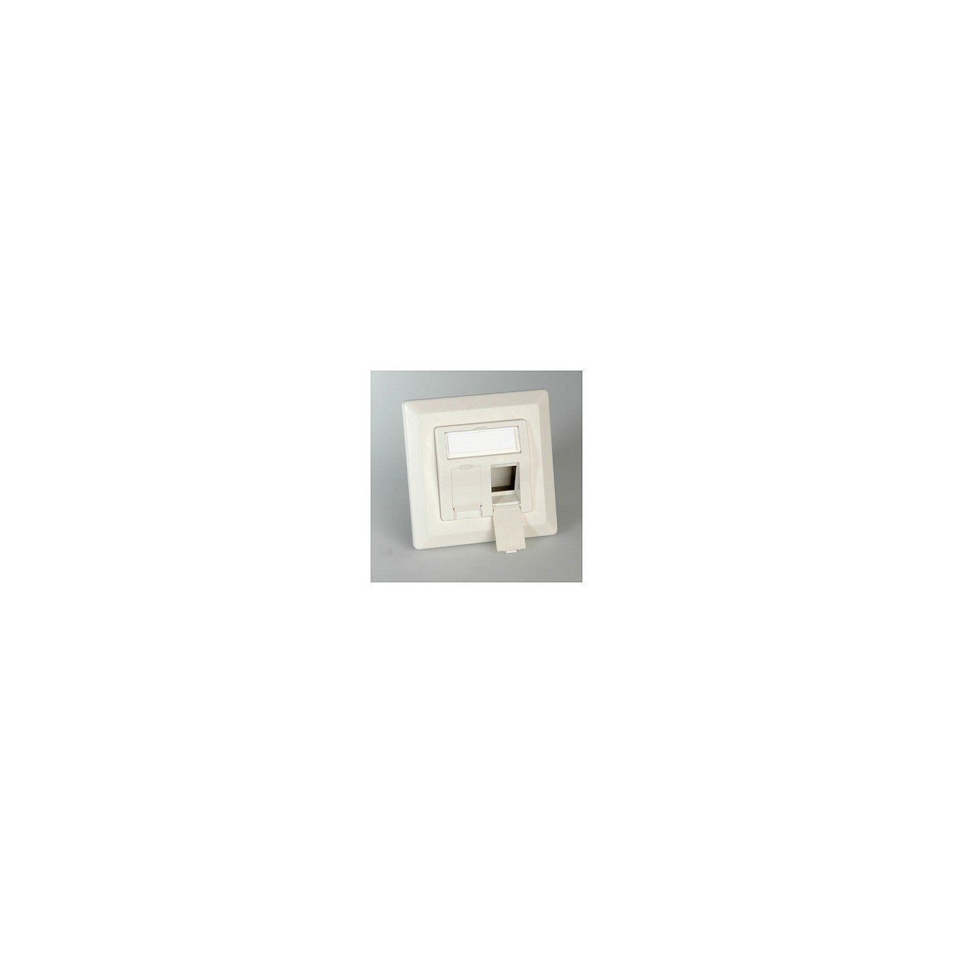 Buy ROLINE Modulaufnahme fr Keystones 2fach in Cyprus, Nicosia, Limassol, Larnaka, Pafos