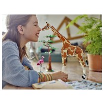 Buy LEGO Creator 3-in-1 Tiersafari 31150 in Cyprus, Nicosia, Limassol, Larnaka, Pafos