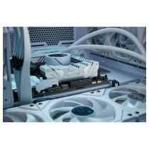 Buy 24GB 8800MT S CL42 CUDIMM in Cyprus, Nicosia, Limassol, Larnaka, Pafos
