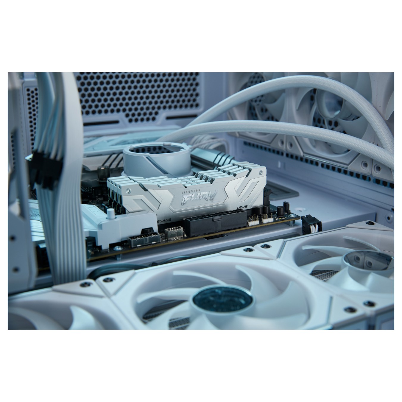 Buy 24GB 8800MT S CL42 CUDIMM in Cyprus, Nicosia, Limassol, Larnaka, Pafos