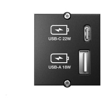 Buy BACHMANN Custom Modul USB Charger Typ A & C 22W, Quickcharge, schwarz in Cyprus, Nicosia, Limassol, Larnaka, Pafos
