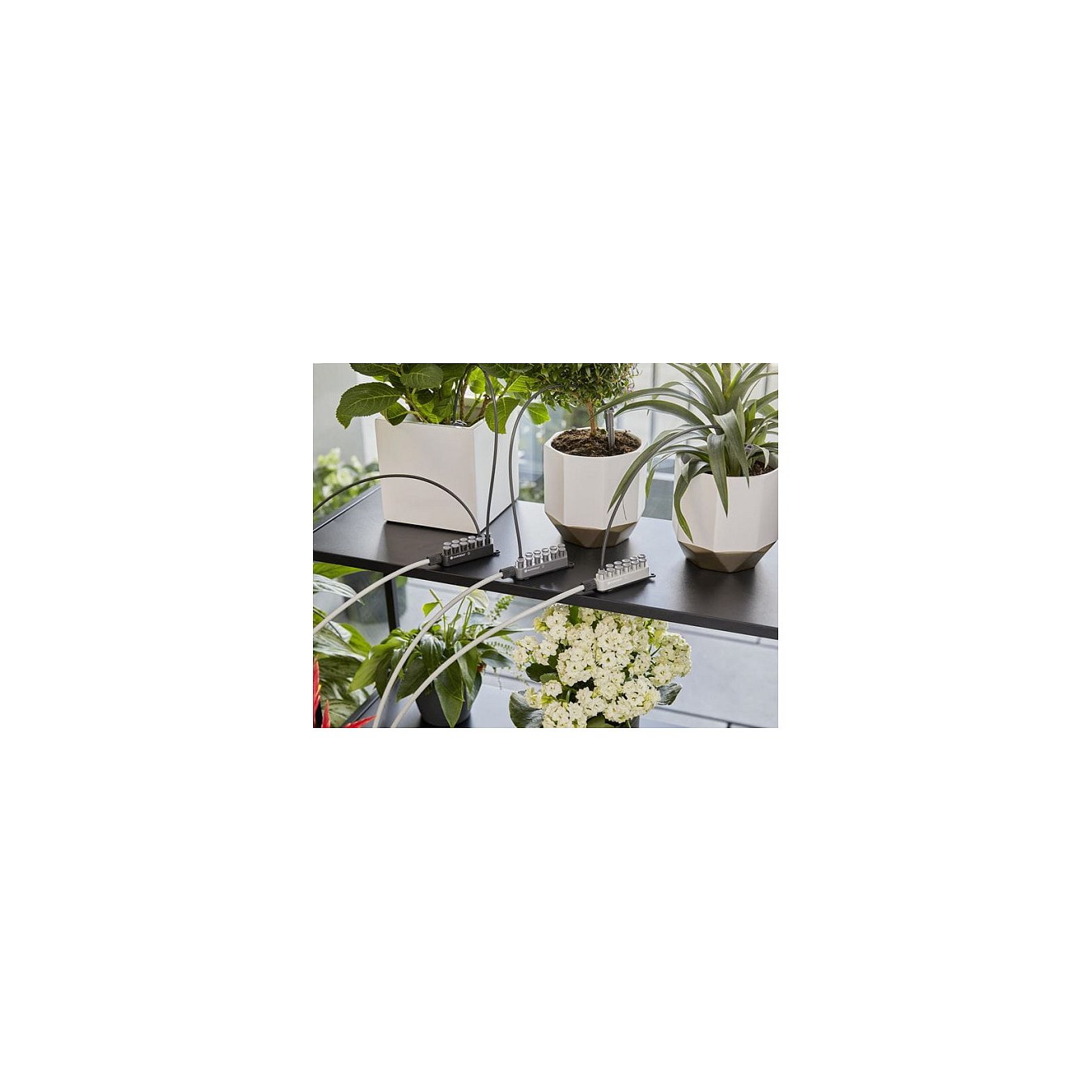 Buy Gardena city gardening Urlaubsbewäss. inkl. Wasserbehälter in Cyprus, Nicosia, Limassol, Larnaka, Pafos