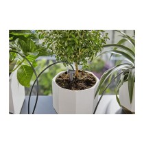 Buy Gardena city gardening Urlaubsbewäss. inkl. Wasserbehälter in Cyprus, Nicosia, Limassol, Larnaka, Pafos