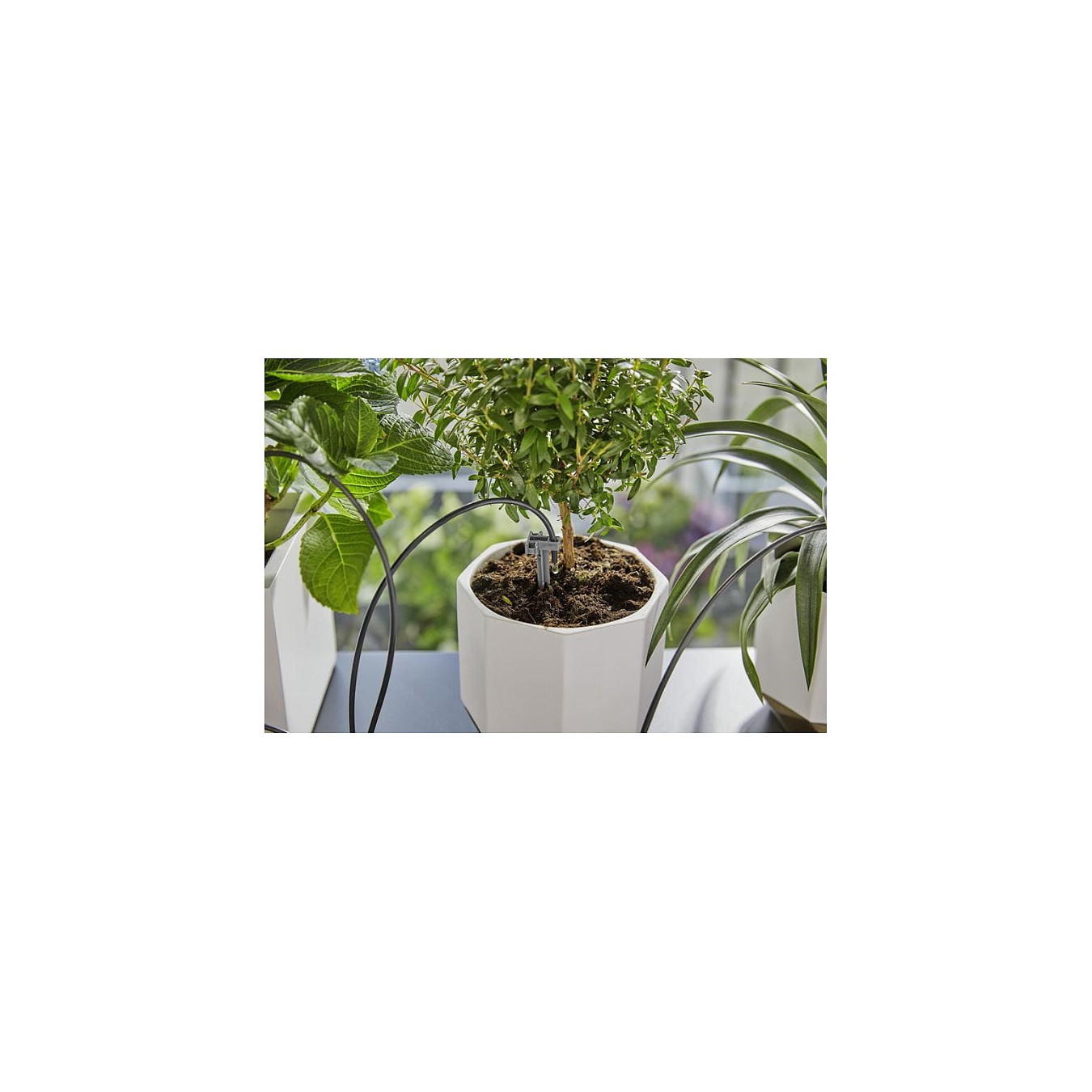 Buy Gardena city gardening Urlaubsbewäss. inkl. Wasserbehälter in Cyprus, Nicosia, Limassol, Larnaka, Pafos
