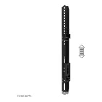 Buy Doppelbildschirm-Adapter (42' -65') insg. max. 100kg opt. für FL55-875BL1 + WL55-875BL1 Neomounts Schwarz in Cyprus, Nicosia