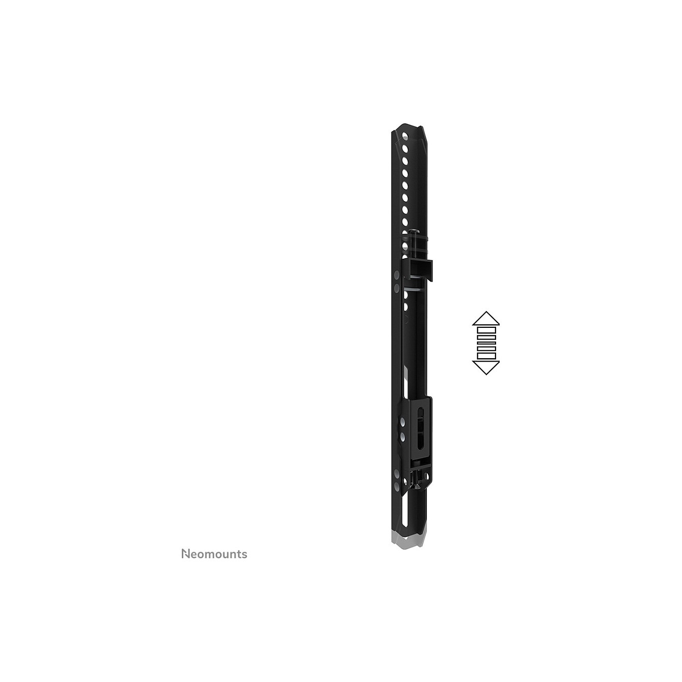 Buy Doppelbildschirm-Adapter (42' -65') insg. max. 100kg opt. für FL55-875BL1 + WL55-875BL1 Neomounts Schwarz in Cyprus, Nicosia