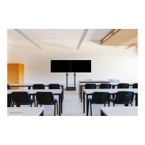 Buy Doppelbildschirm-Adapter (42' -65') insg. max. 100kg opt. für FL55-875BL1 + WL55-875BL1 Neomounts Schwarz in Cyprus, Nicosia