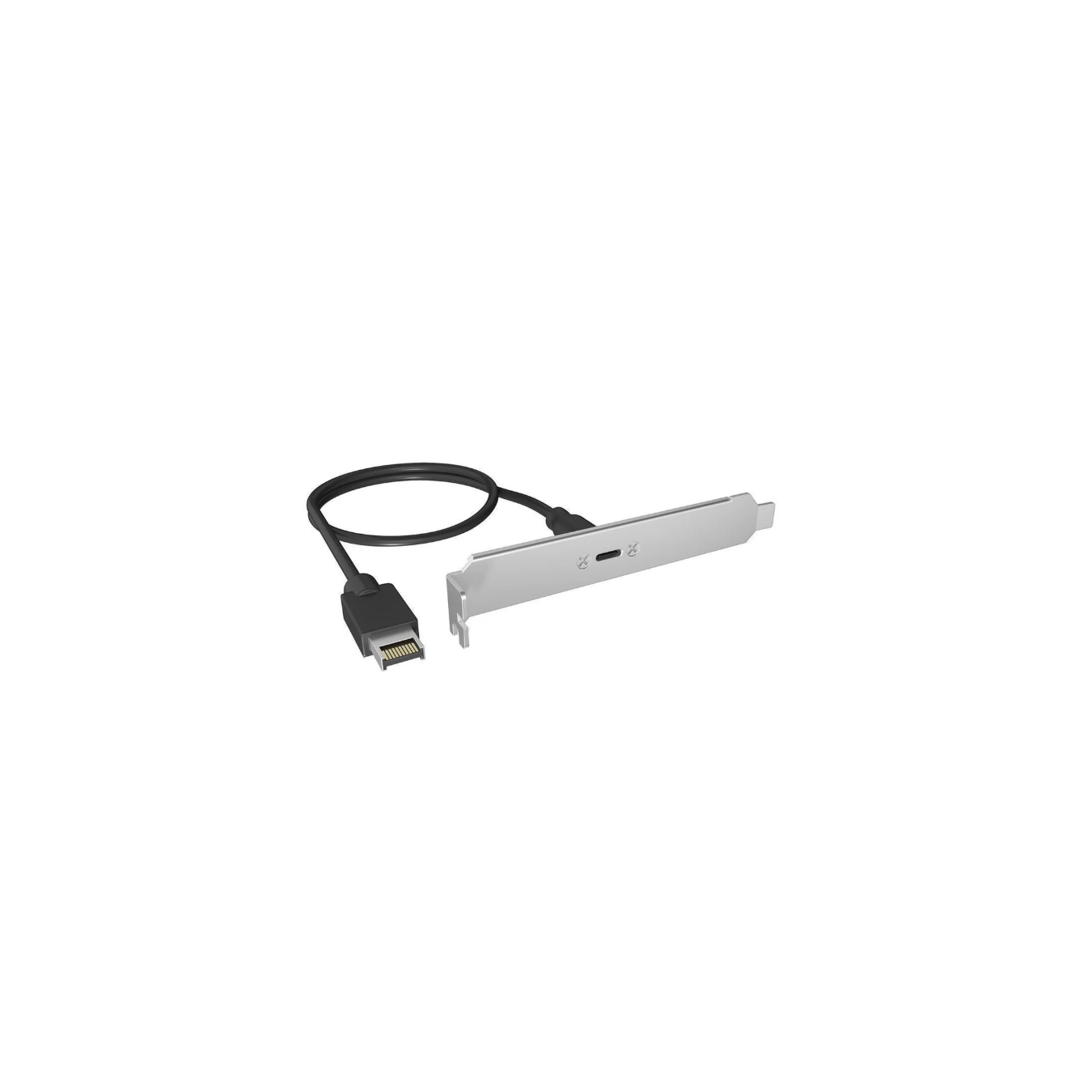 ICY BOX IB-AC553 - USB 3.2 Gen 2x2 Type-C Back Panel | Armenius Store