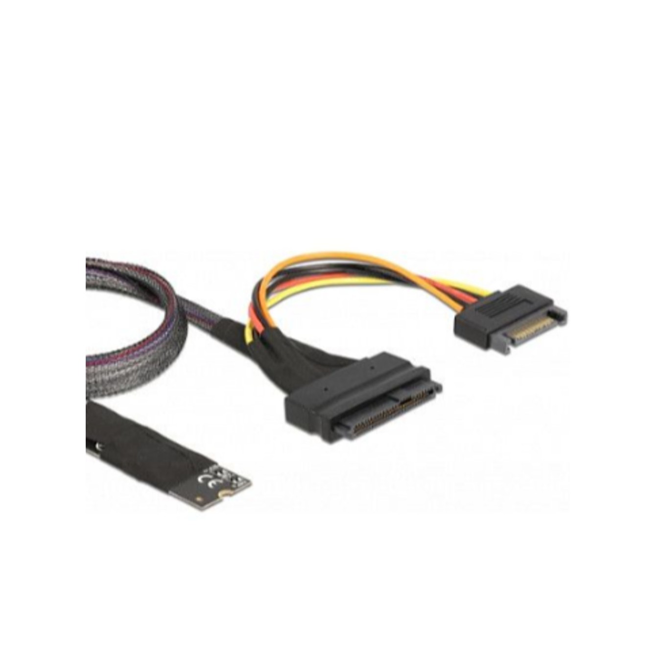 Delock M.2 Key M to U.2 SFF-8639 NVMe Adapter – 50 cm Cable, PCIe 4.0 | Armenius Store