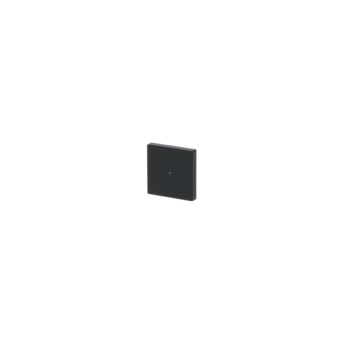 Buy BUSCH JAEGER BJ 6230-10-885 Wippe 1f schwarz matt Busch-free@home future linear in Cyprus, Nicosia, Limassol, Larnaka, Pafos