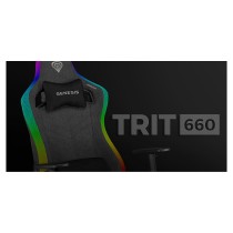 Buy Genesis Gaming Stuhl TRIT 660 RGB grau in Cyprus, Nicosia, Limassol, Larnaka, Pafos