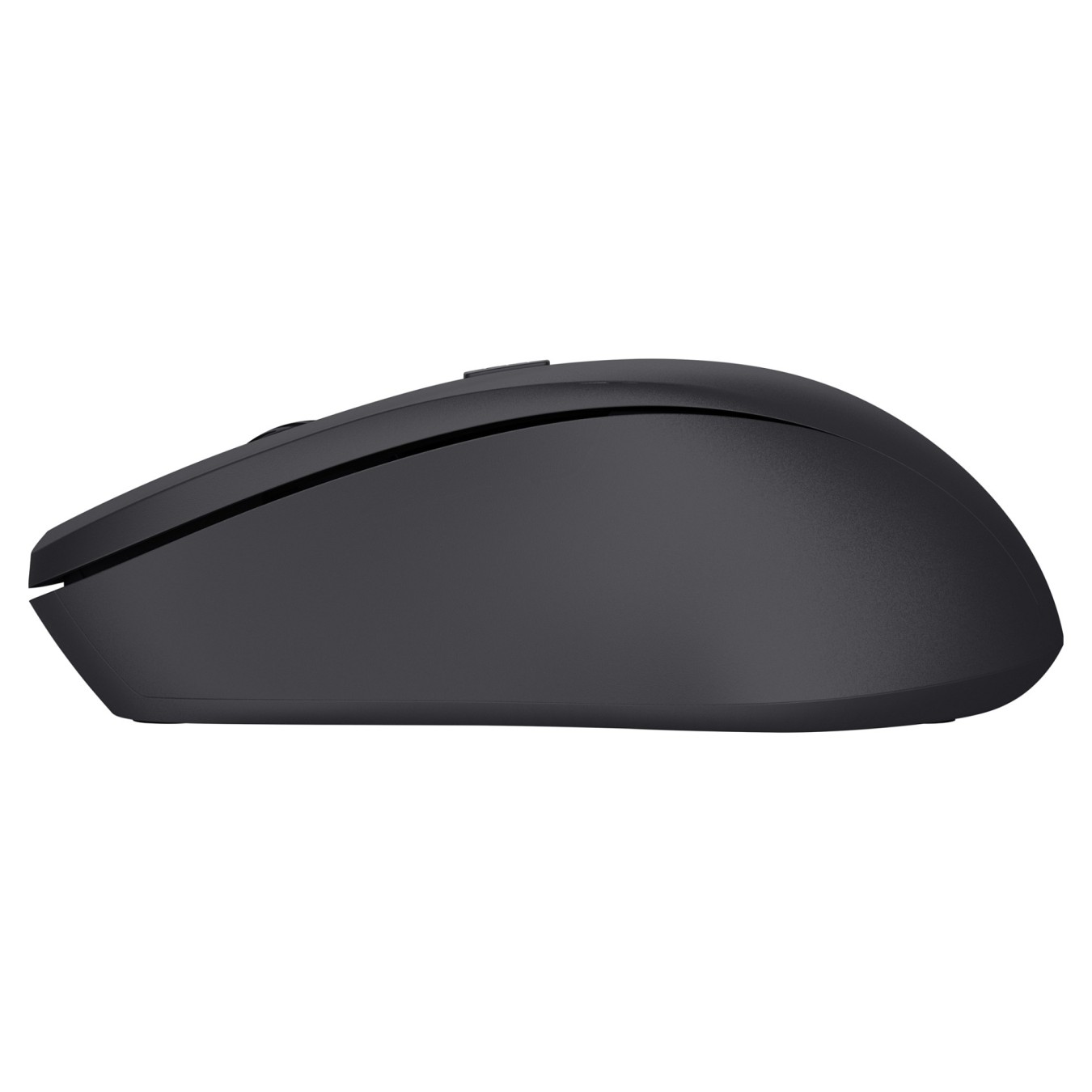 Buy TRUST Mydo Leise optische Maus, Kabellos Reduziert Klickgeräusche um mindestens 90 % in Cyprus, Nicosia, Limassol, Larnaka, 