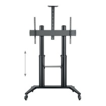 Buy Hagor BrackIT Stand HD XXL - Wagen - für Flachbildschirm AV-Ausrüstung - Schwarz - Bildschirmgröße: 165-305 cm (65'-1... in
