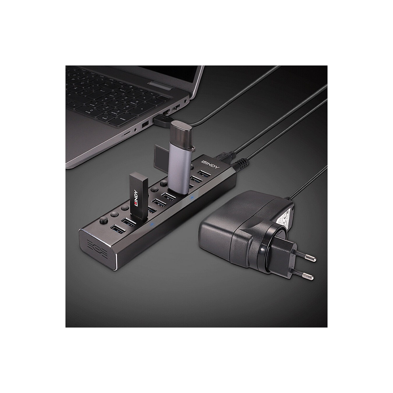 Buy LINDY 10 Port USB 3.0 Hub mit Ein- Ausschaltern in Cyprus, Nicosia, Limassol, Larnaka, Pafos