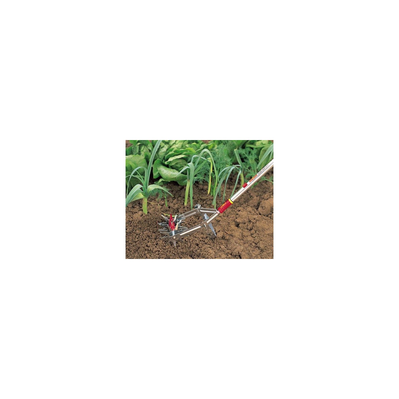 Buy WOLF-Garten Gartenfrse DA-S. multi-star (rot gelb. 15cm) in Cyprus, Nicosia, Limassol, Larnaka, Pafos