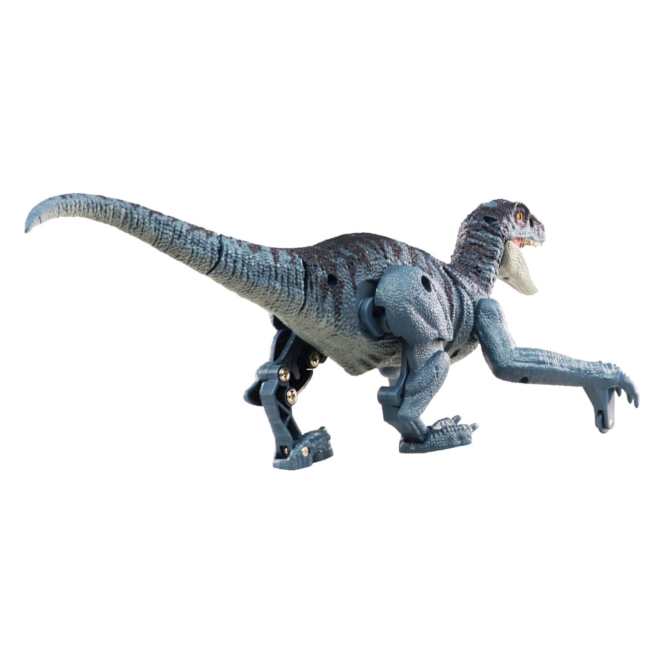 Buy Amewi Velociraptor RC Dinosaurier 21cm. RTR Licht & Sound in Cyprus, Nicosia, Limassol, Larnaka, Pafos