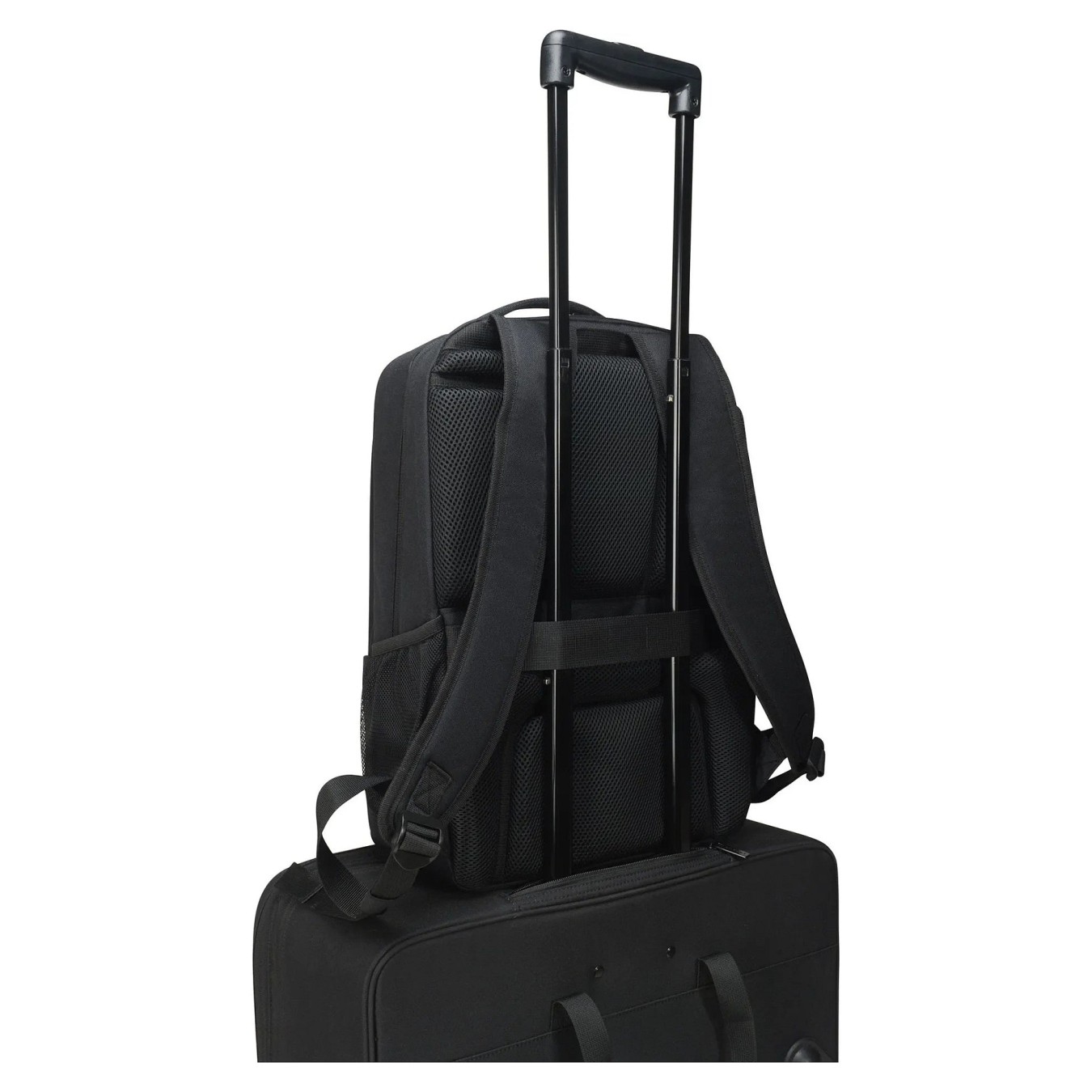 Buy Dicota Backpack PLUS 14-16' black in Cyprus, Nicosia, Limassol, Larnaka, Pafos