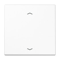 Buy Jung LS101PWW Wippe f.Tasterpfeile in Cyprus, Nicosia, Limassol, Larnaka, Pafos