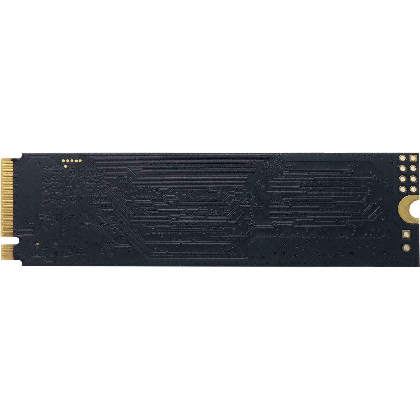 Patriot P310 M.2 NVMe SSD - 240GB, PCIe 3.0 x4 (NVMe 1.3) - M.2 2280 — Buy in Cyprus with Fast Delivery
