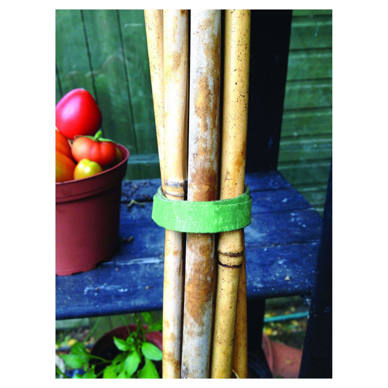 Buy VELCRO ONE-WRAP Klettband Pflanzenanbinder. ONE-WRAP Band 12mm x 5m Grn in Cyprus, Nicosia, Limassol, Larnaka, Pafos