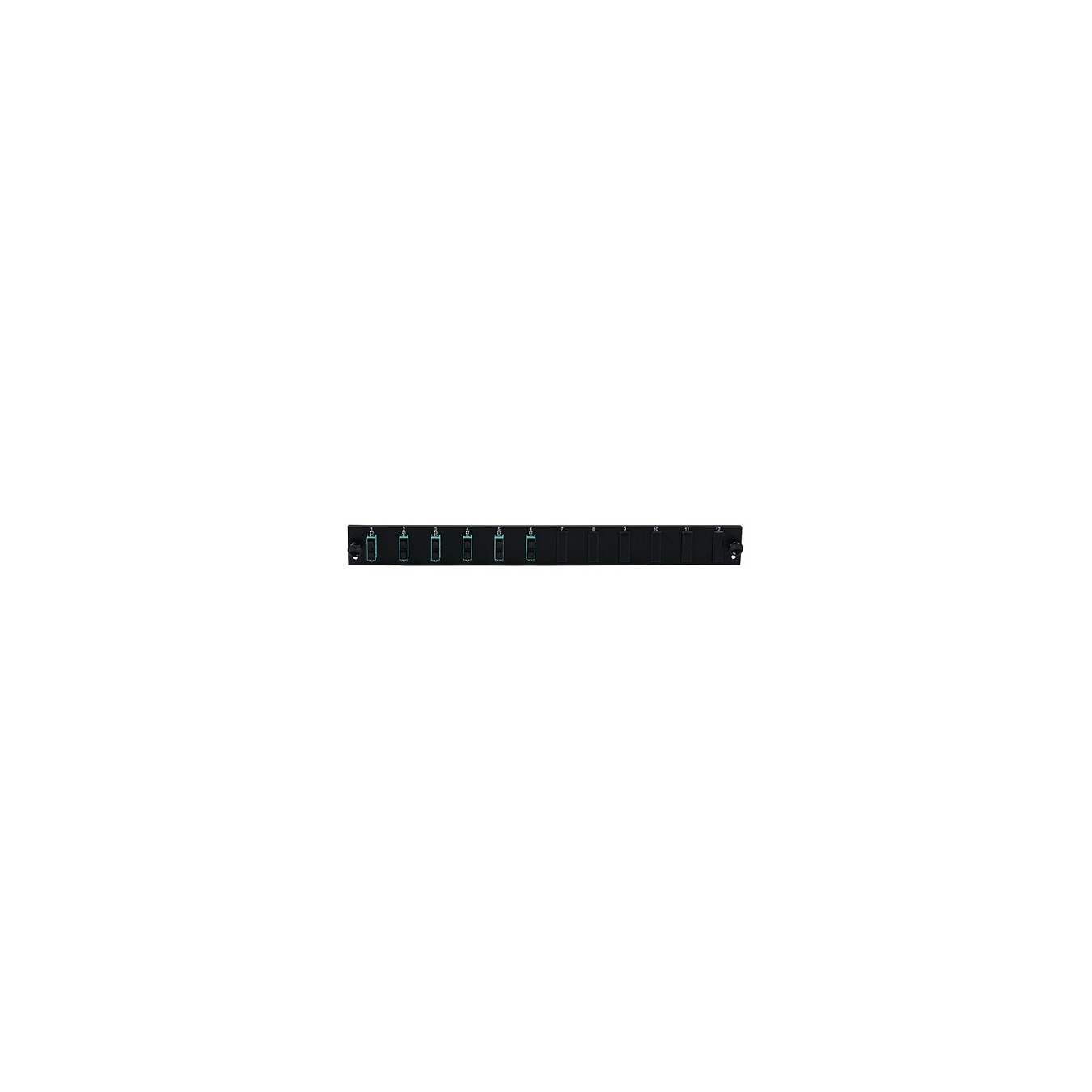 Buy EFB Bestckte 12 Port Frontblende mit 6 x SC Duplex Kupplung OM4 vertikal, schwarz in Cyprus, Nicosia, Limassol, Larnaka, Paf