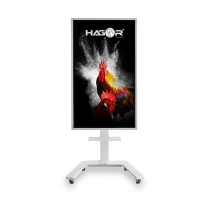 Buy Hagor ST SA Flip II 65' Standfuss für Samsung FLIP (Speditionsversand) in Cyprus, Nicosia, Limassol, Larnaka, Pafos