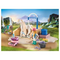 Buy - Horses of Waterfall - Isabella & Lioness mit Waschplatz in Cyprus, Nicosia, Limassol, Larnaka, Pafos