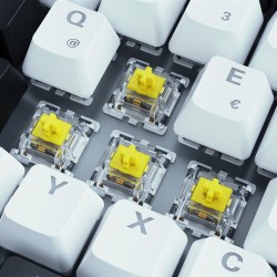Buy Sharkoon SKILLER SGK50 S3 - White 75% Mechanical Keyboard, Gateron Yellow, R... in Cyprus, Nicosia, Limassol, Larnaka, Pafos
