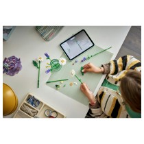 Buy LEGO 11508 Botanicals Gnseblmchen in Cyprus, Nicosia, Limassol, Larnaka, Pafos